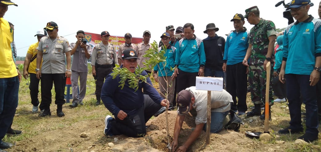 Lestarikan Alam, Bupati Tanam Pohon