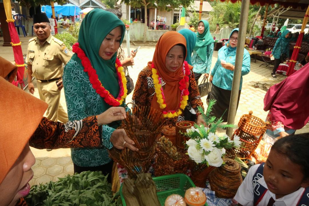 PKK Provinsi Apresiasi Kinerja PKK Desa dan Kecamatan