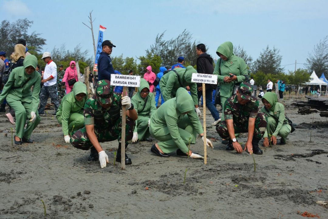 HUT TNI, Sebanyak 4.500 Bibit Mangrove Ditanam