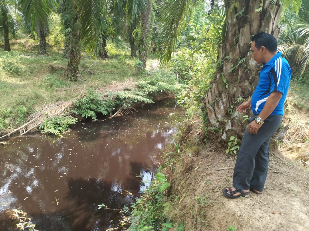 Diduga, Limbah Pabrik Cemari Sungai