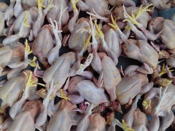 Harga Daging Ayam Naik