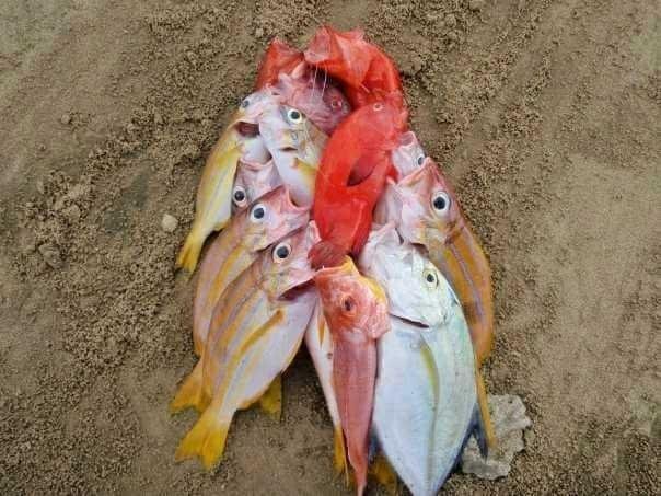 Nelayan Mengeluh, Harga Jual Ikan Tak Pernah Naik