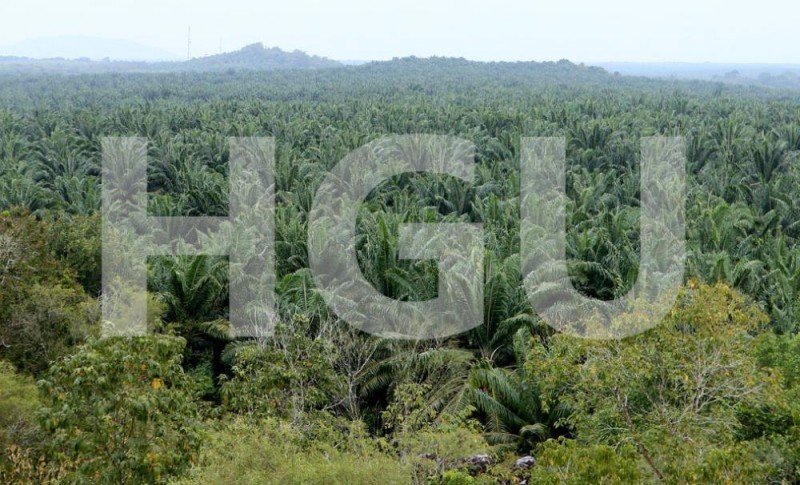 Lokasi Belum Jelas, Penyerahan Kebun Kas Gagal Lagi