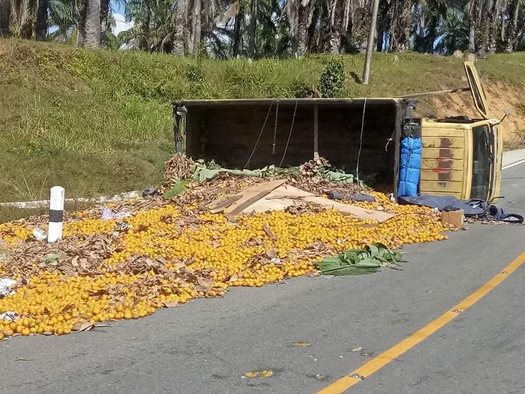 Truk Kehabisan Nafas, Jeruk Berhamburan ke Jalinbar