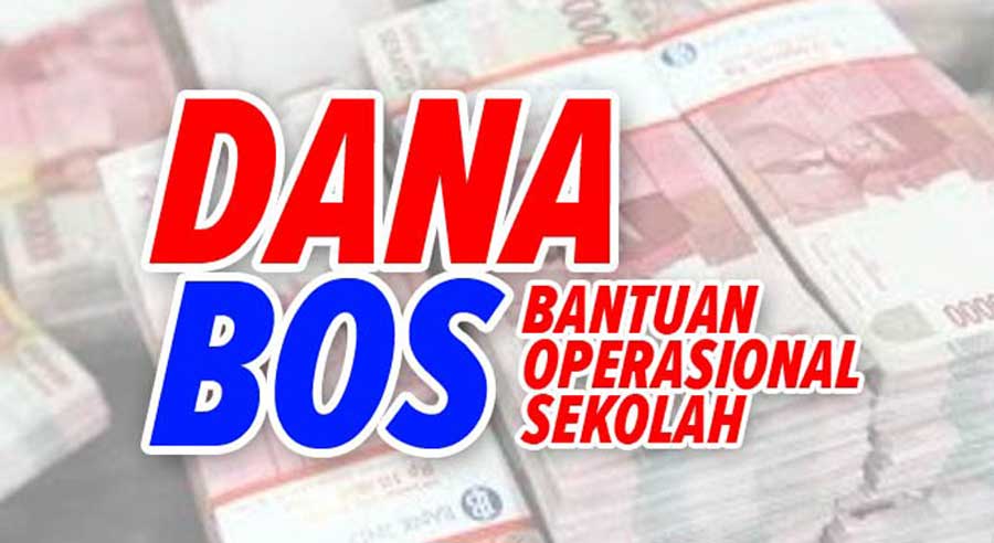 Ipda Temukan Dugaan Pelanggaran Pengelolaan BOS