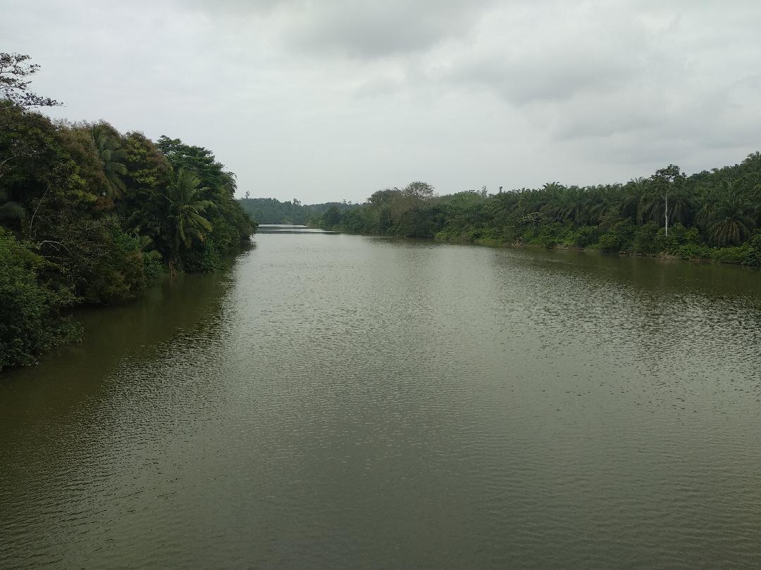 Buaya Unjuk Gigi, Warga Diminta Waspada