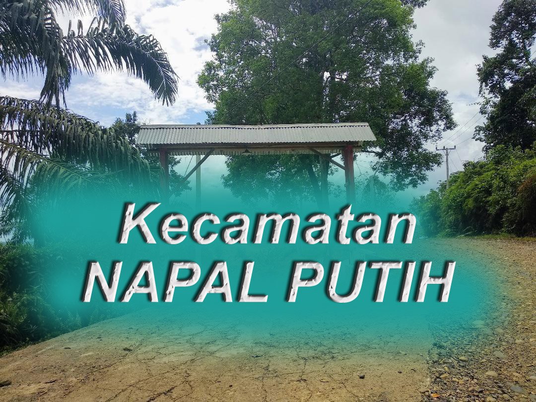 Dewan dan Bupati Diminta Perhatikan Napal Putih