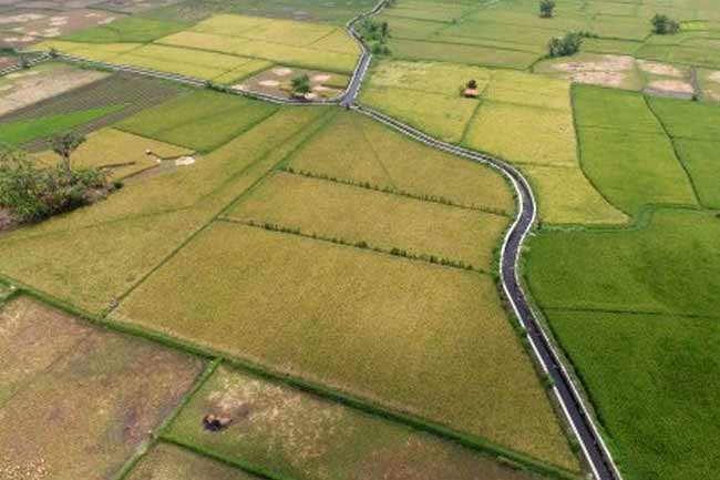 Tahun Depan, Cetak Sawah Sasar BU dan MM