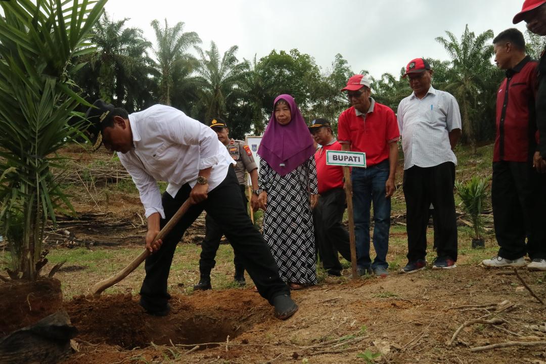 Program Replanting Ungkit Pertumbuhan Ekonomi