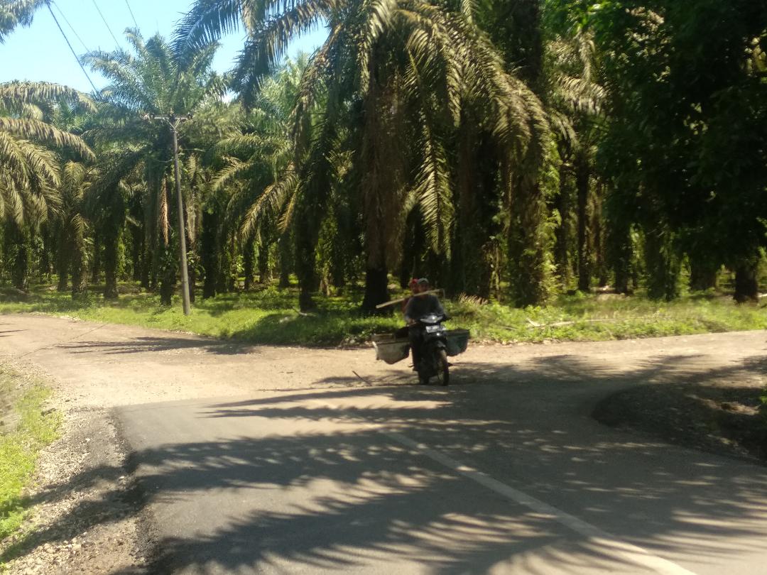 Soal Jalan Kaltim, Tunggu Sikap Bupati