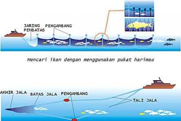 Nelayan MM Masih Gunakan Pukat Harimau