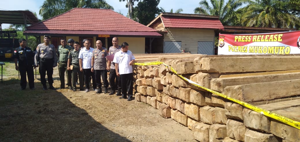 Polisi Amankan Kayu Meranti Illegal