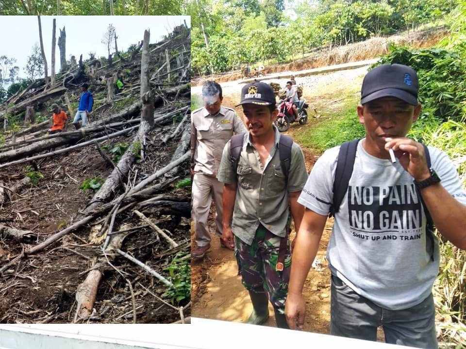 Sisir Hutan Kerkap, Polhut Bakar Pondok dan Amankan Chainsaw