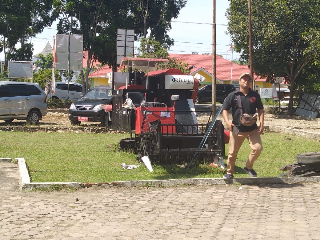 Tahun Baru, Harga Sawit Rp 1.870 Perkilogram