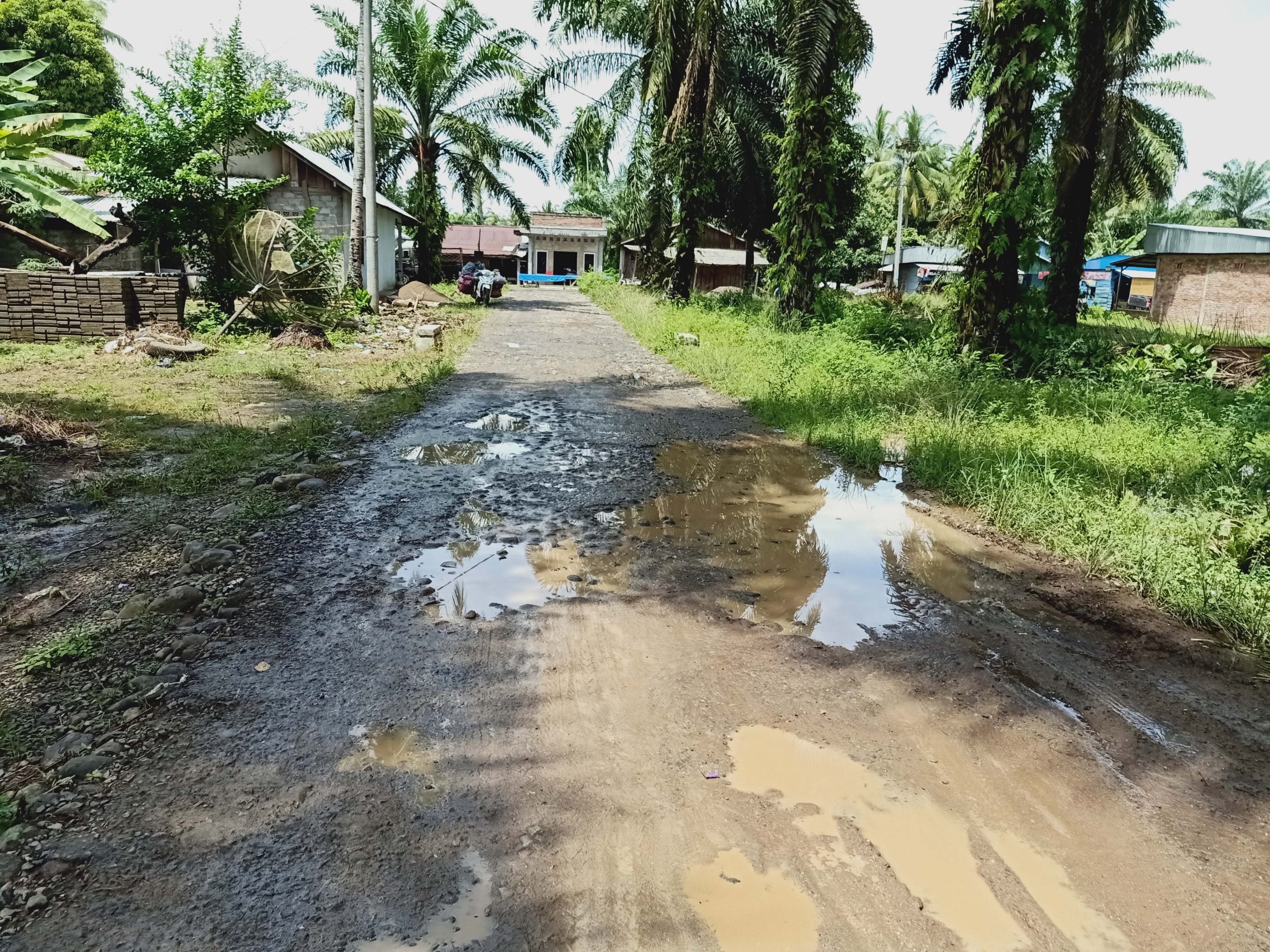 Warga Berharap Normalisasi Jalan Rusak