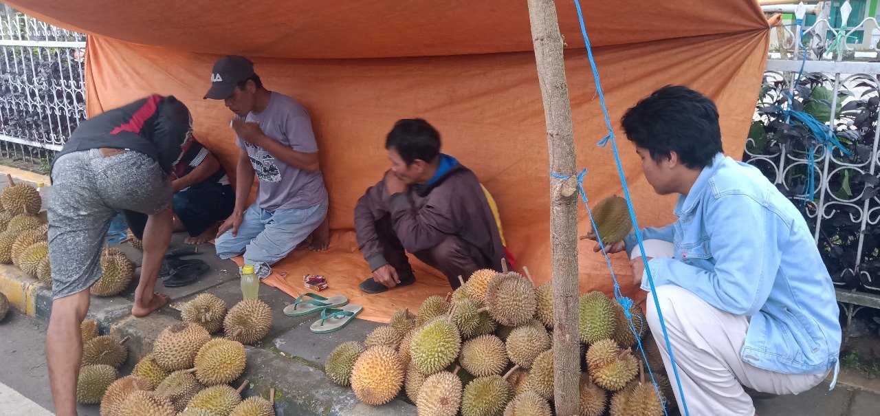 Pedagang Durian Mulai Menjamur