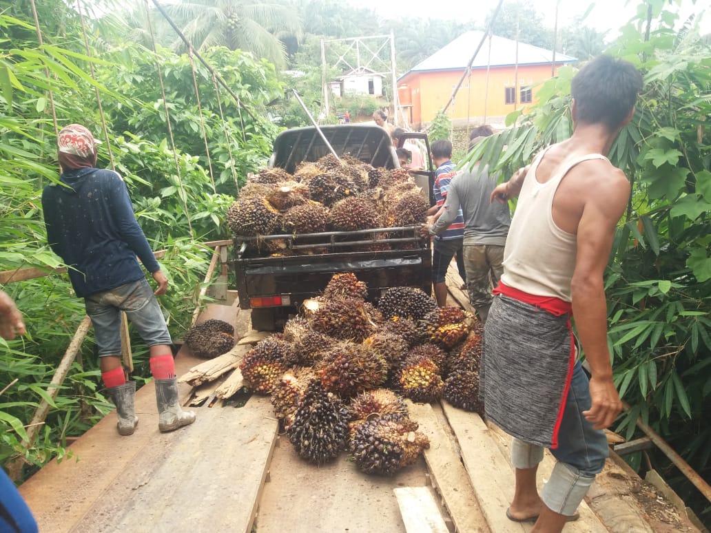 Lantai Lapuk, Pick Up Nyaris Nyebur ke Sungai