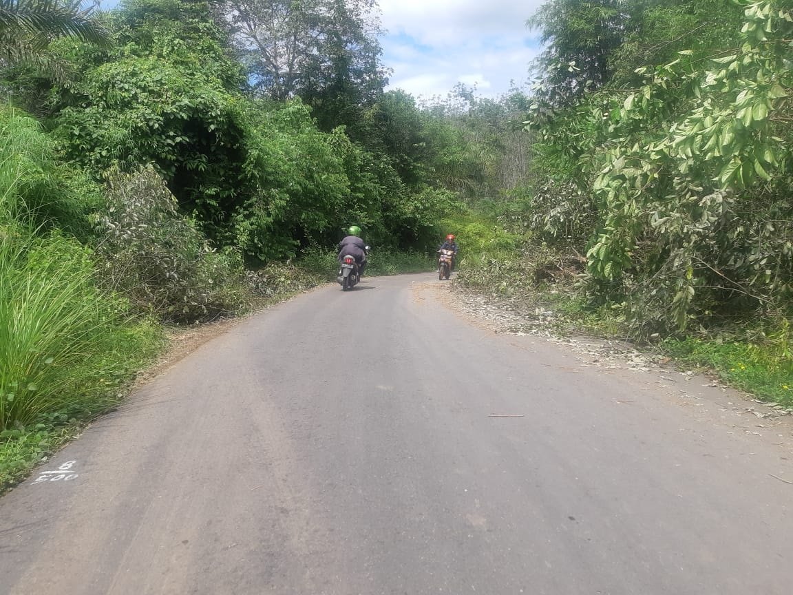 Penuh Semak, Jalur Tengah Menyempit