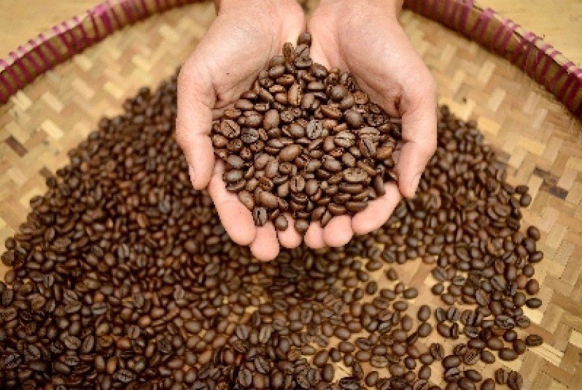 Harga Biji Kopi Tetap Anjlok