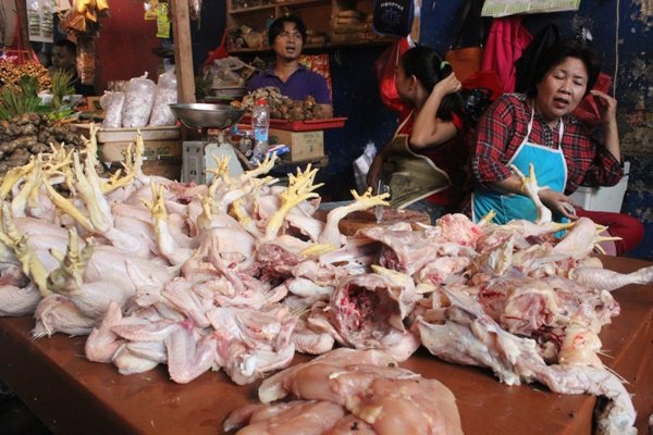 Di Kota, Harga Ayam Potong Tembus Rp 50 Ribu