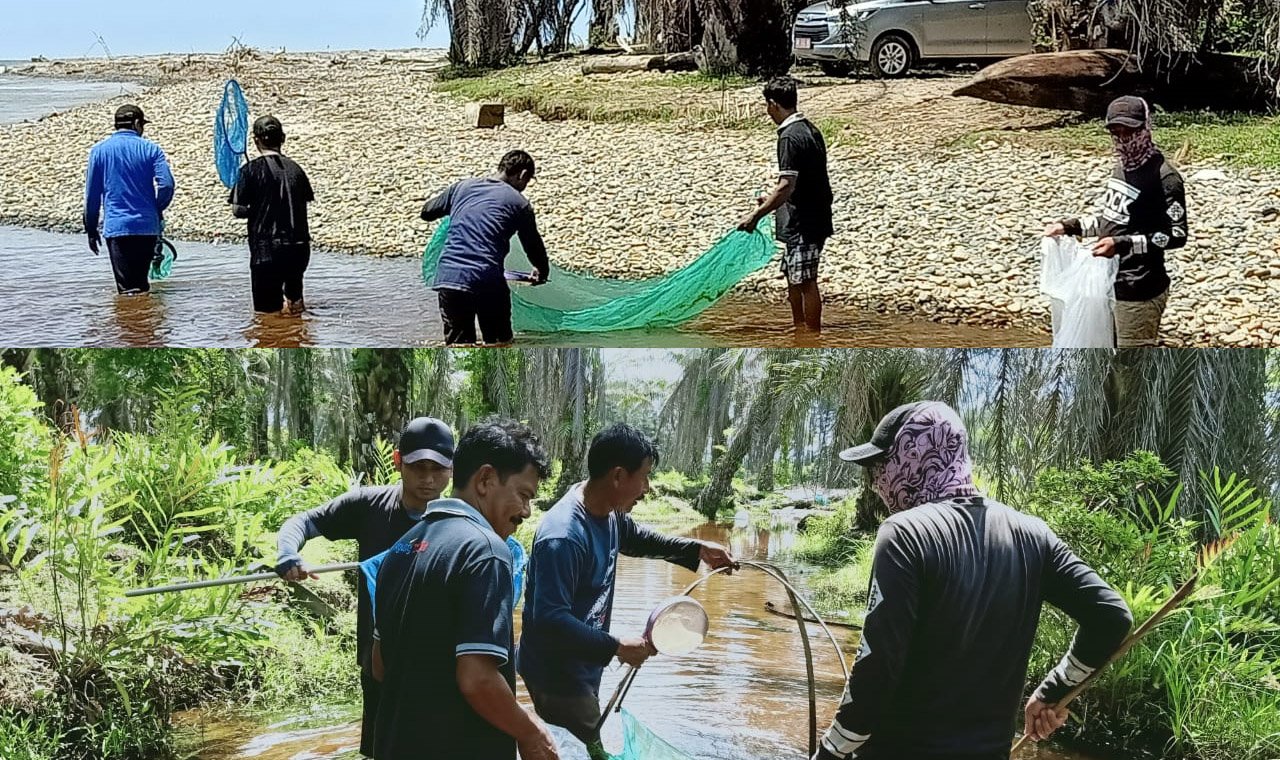 Tanpa Anggaran, Pelestarian Ikan Mikih Berlanjut