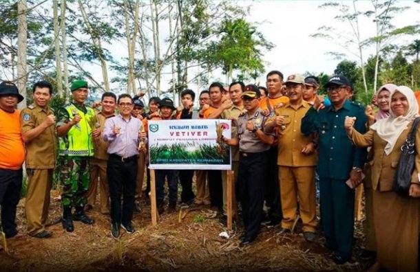 Bupati Kepahiang Tanam Rumput Vetiver