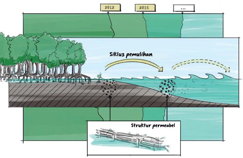 Abrasi Pantai Lubuk Tanjung Mulai Ditinjau