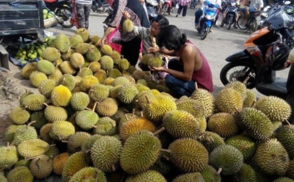 Sukseskan Festival 10.000 Durian