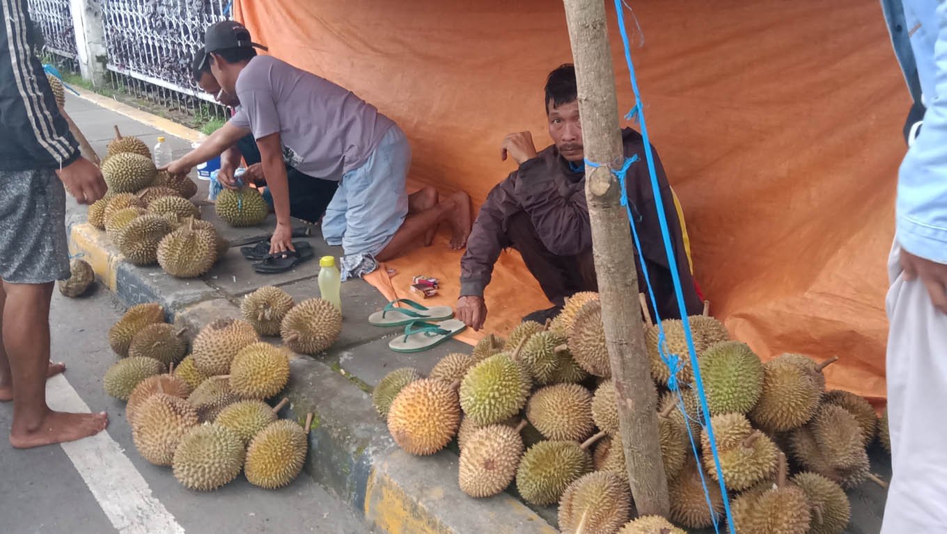 Pedagang Durian Menjamur