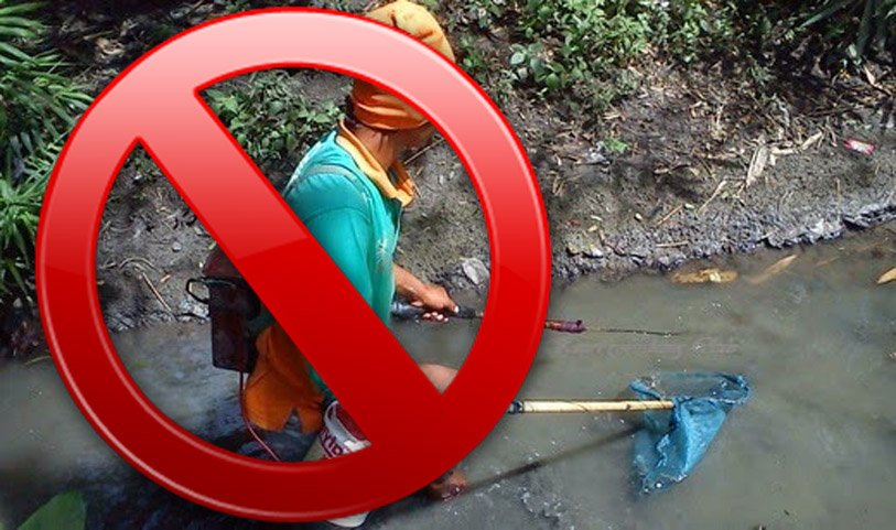 Dilarang ‘Nyetrum’ Ikan di Sungai