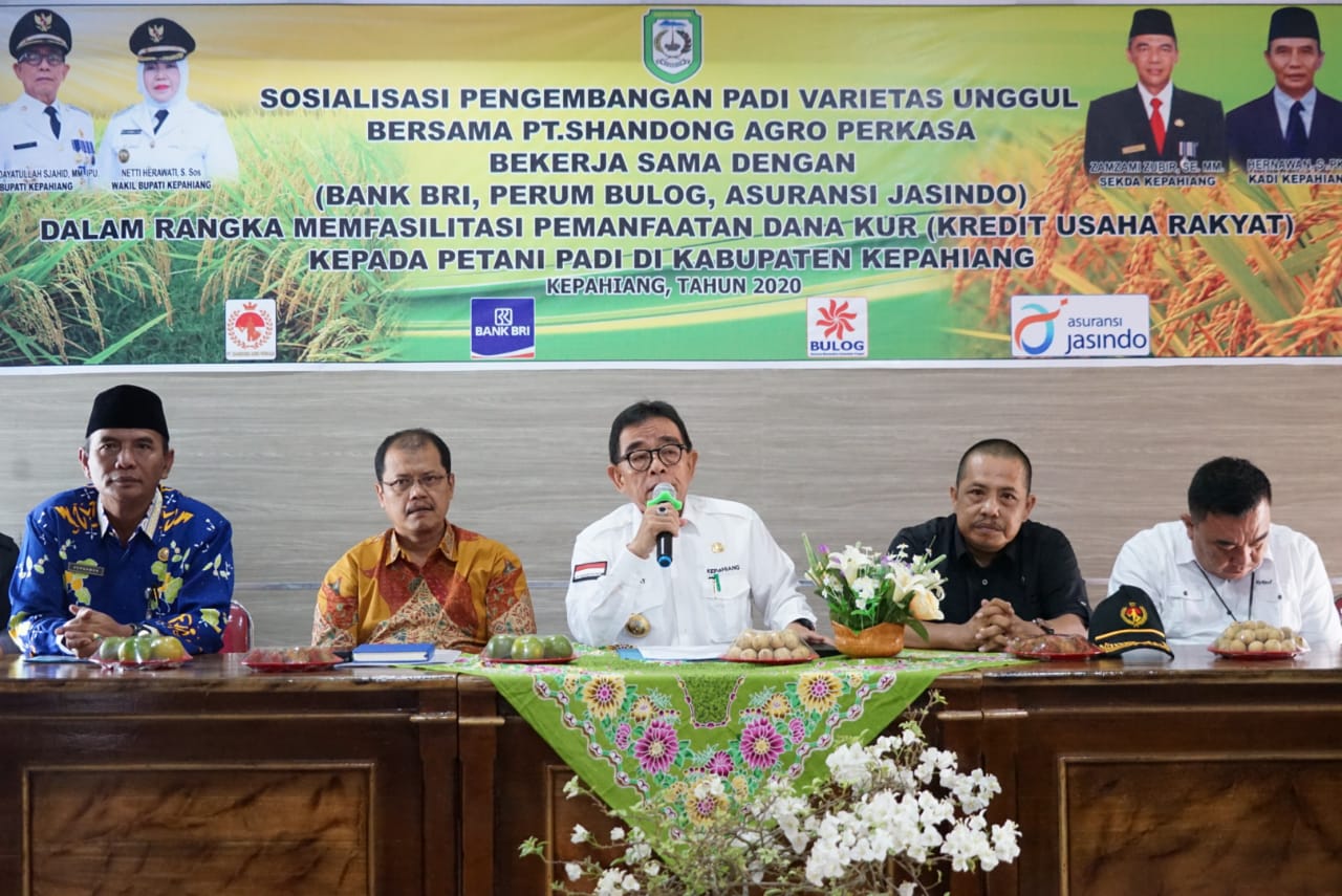 Pengembangan Padi Varietas Unggul, Tingkatkan Produksi Pangan