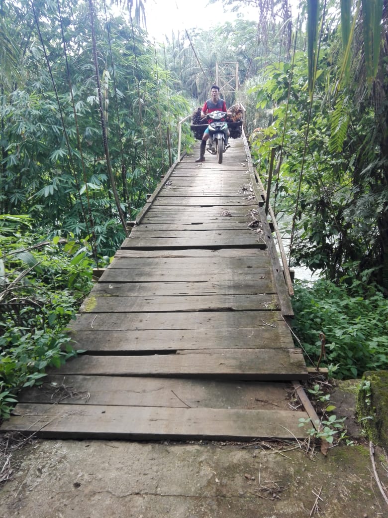 Jembatan di Desa Lubuk Banyau Butuh Perbaikan