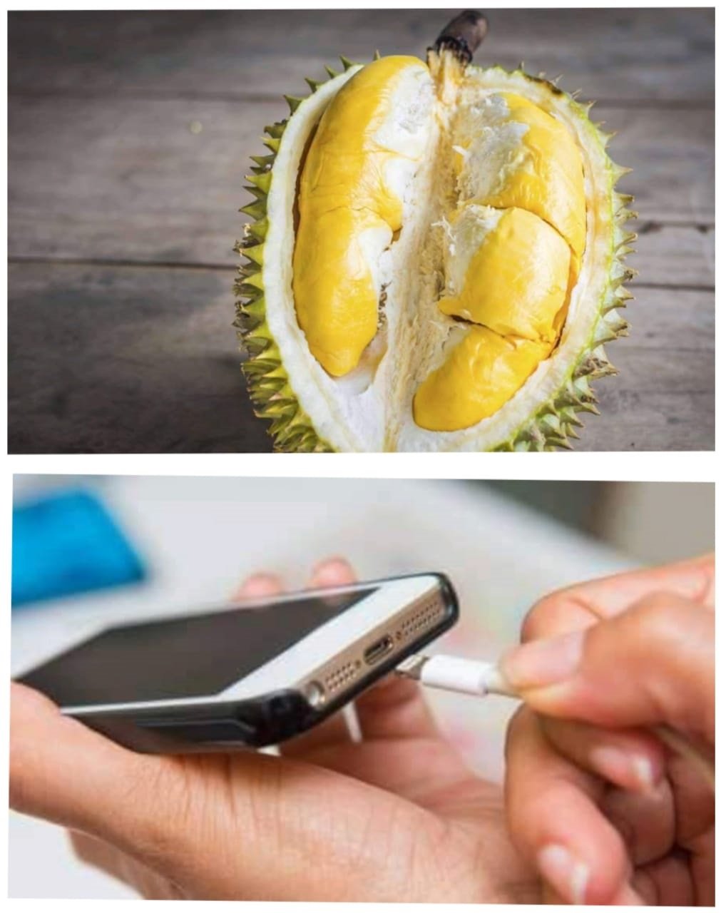 Wow!! Durian Bisa Nge-charge Baterai Ponsel