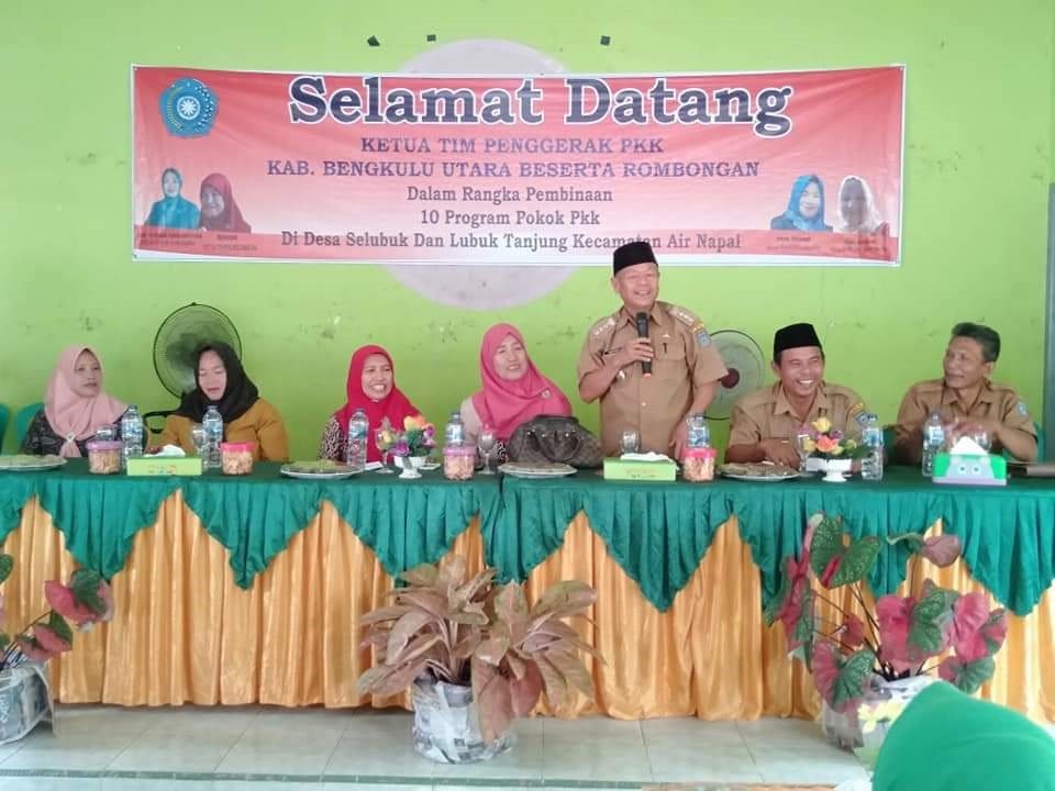 Puluhan Kader PKK Lubuk Tanjung Ikuti Pelatihan