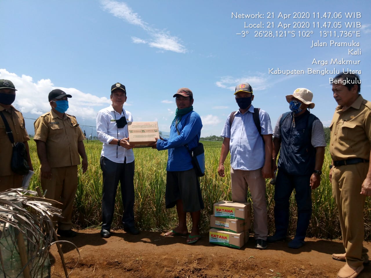 Diserang Ulat Grayak, Pemprov Bantu Pestisida ke Petani