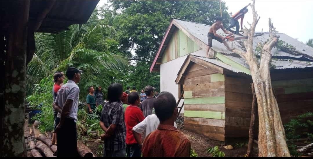 Cuaca Buruk, Pohon Timpa Rumah Warga