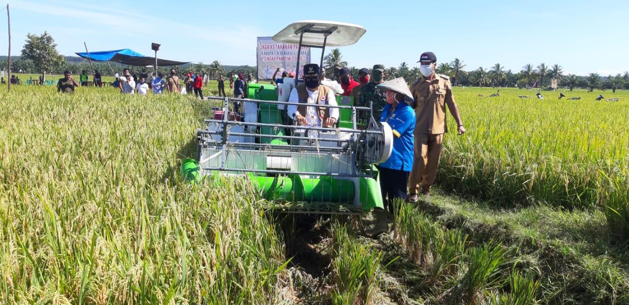 Bupati Minta Petani Padi Pertahankan Sawah