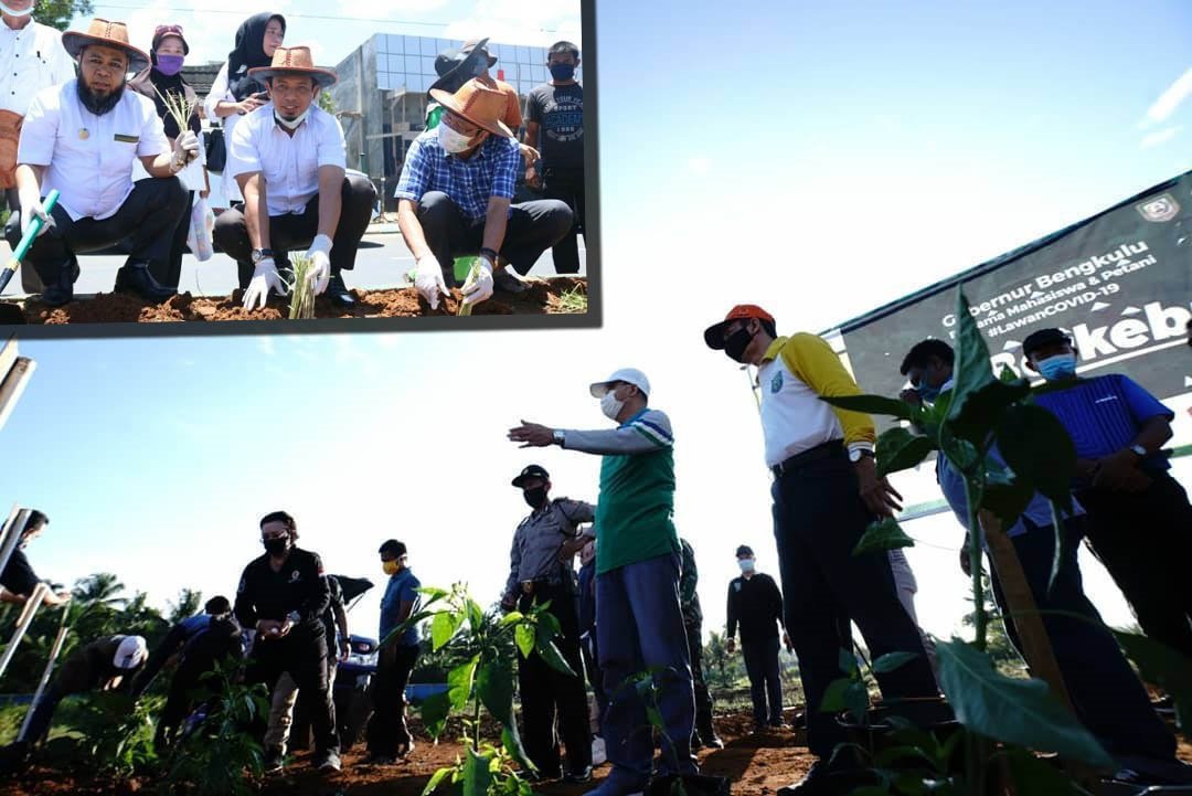 Pandemi Covid-19, Gubernur Ajak Berkebun