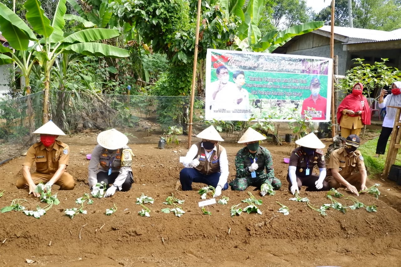 Pemkab BU Bagikan Bibit Sayuran