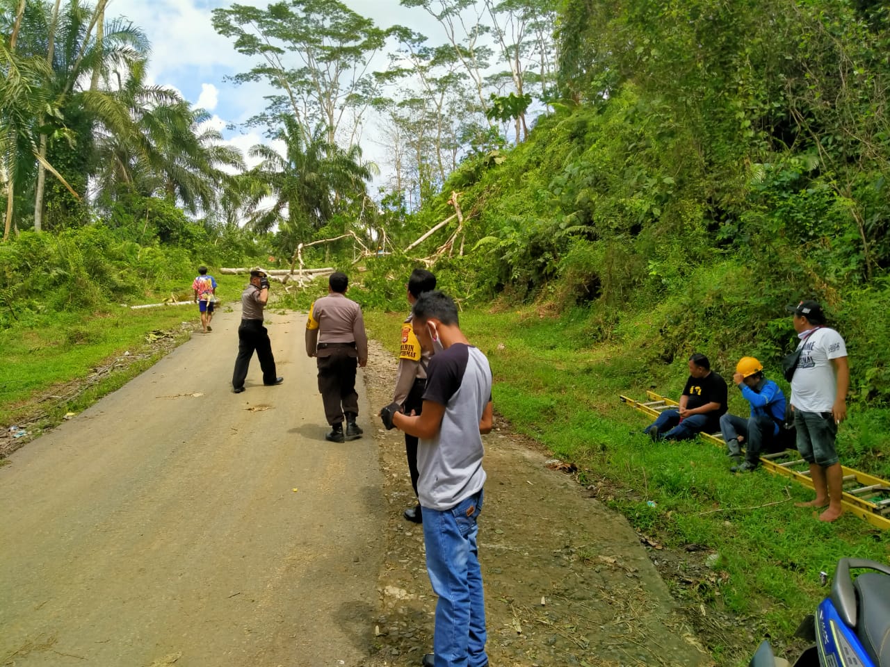 Ancam Pengendara, Pohon Dipangkas