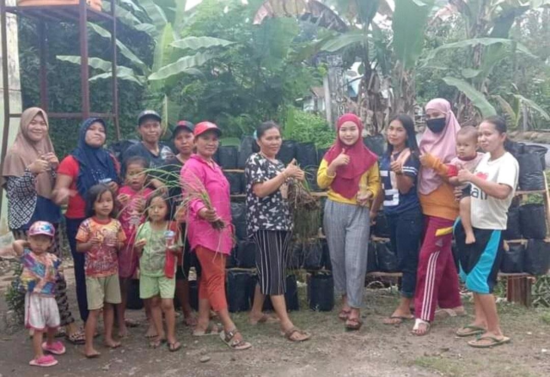 Camat Dorong Warga Tanam Sayur di Pekarangan