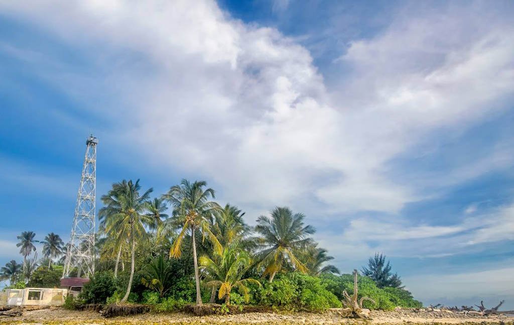 Selamatkan Pulau Tikus