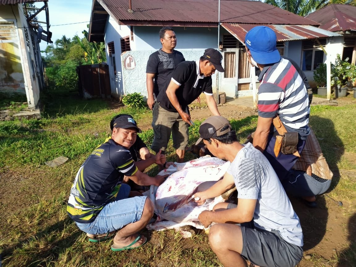 Terapkan Protokol Kesehatan, Hanya Panitia Boleh Masuk