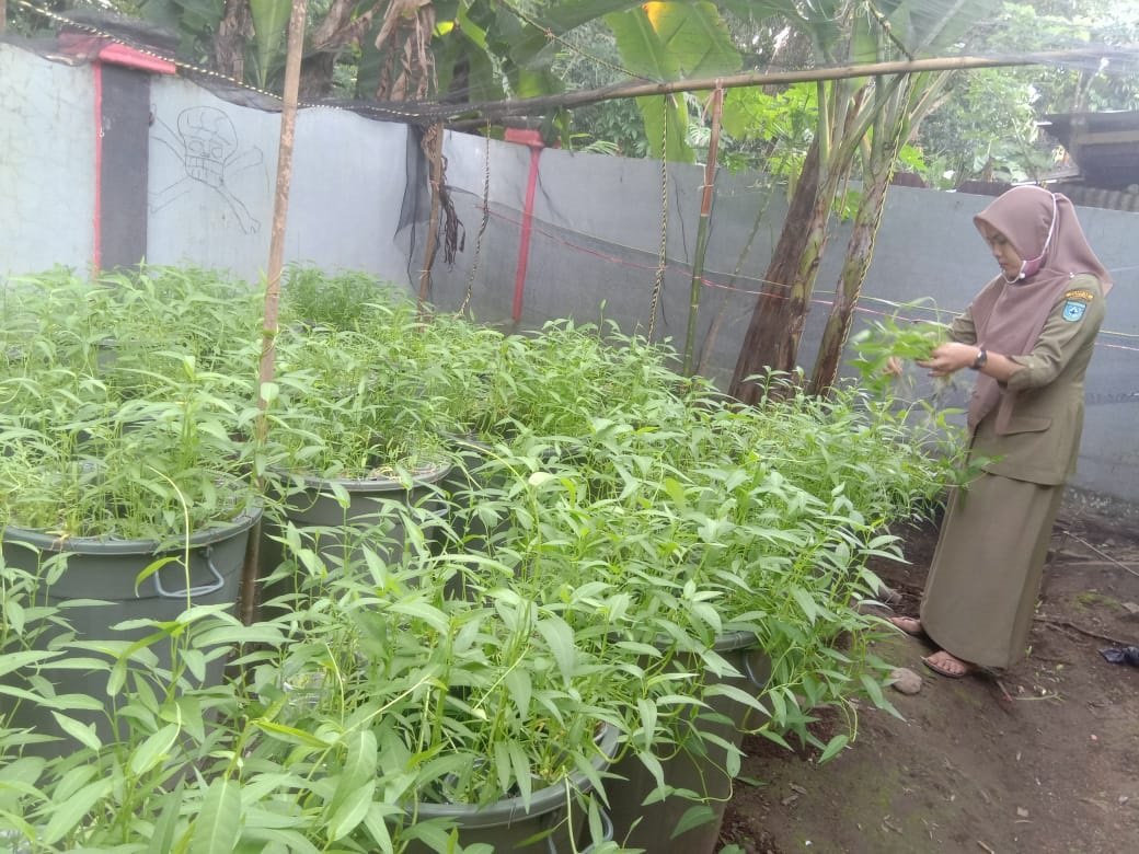 Kampanyekan Budikdamber ke Masyarakat