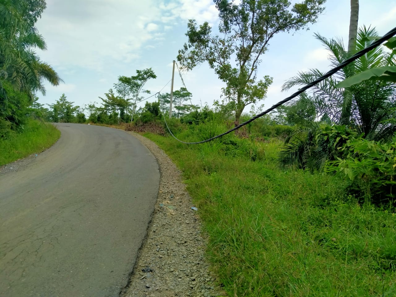 Kabel Listrik Menjuntai Ancam Keselamatan