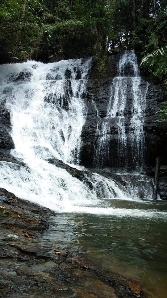 New Normal, Wisata Kembali Dibuka