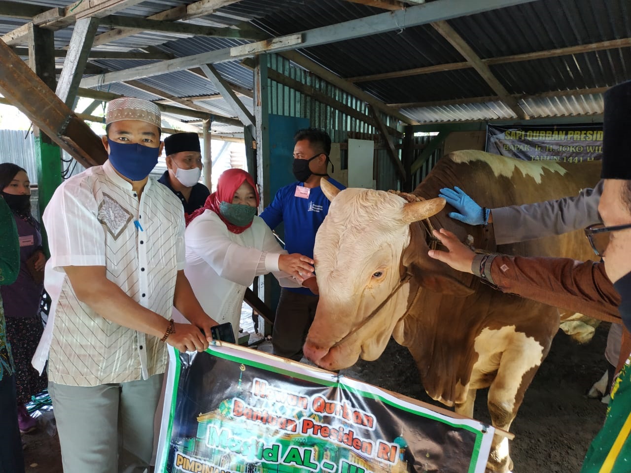 Daging Sapi Presiden RI Dibagikan Ke Warga Lebong