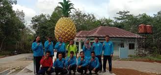 Gandeng KWT, Kembangkan Produksi Nanas