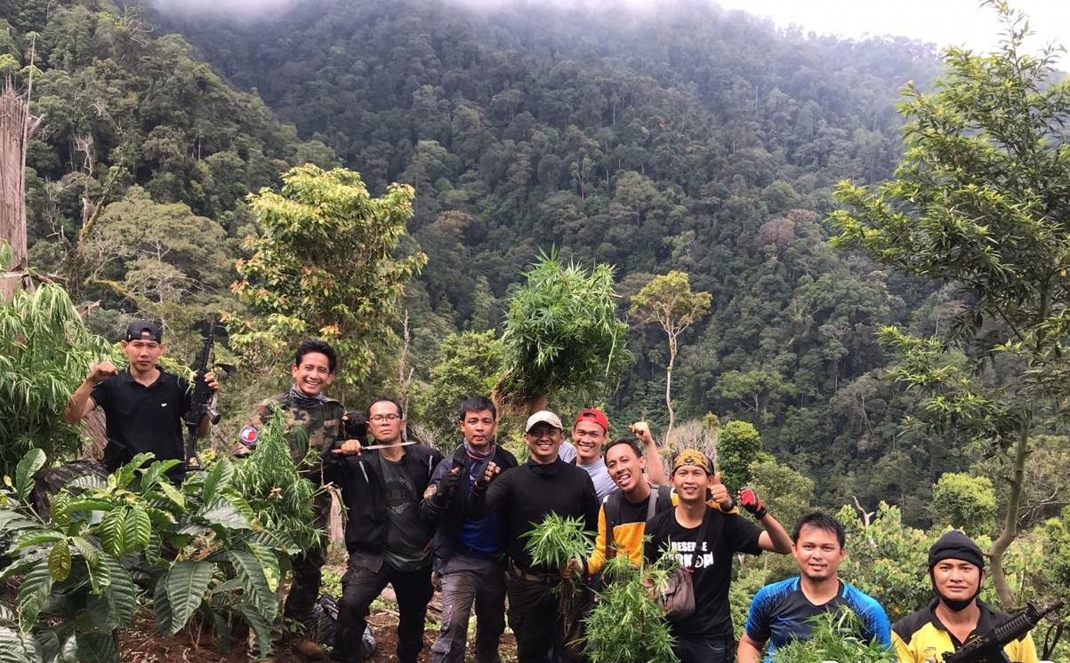 Ladang Ganja Seluas 2 Ha Berhasil Diungkap