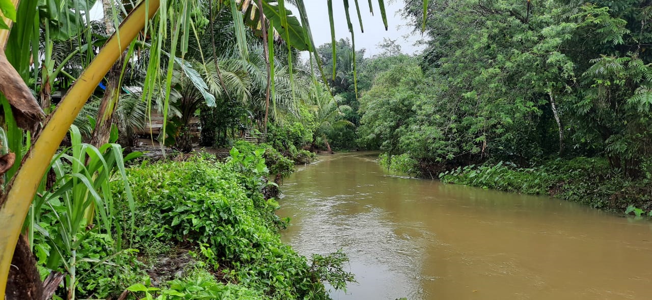 Intensitas Hujan Meningkat, Waspadai Banjir